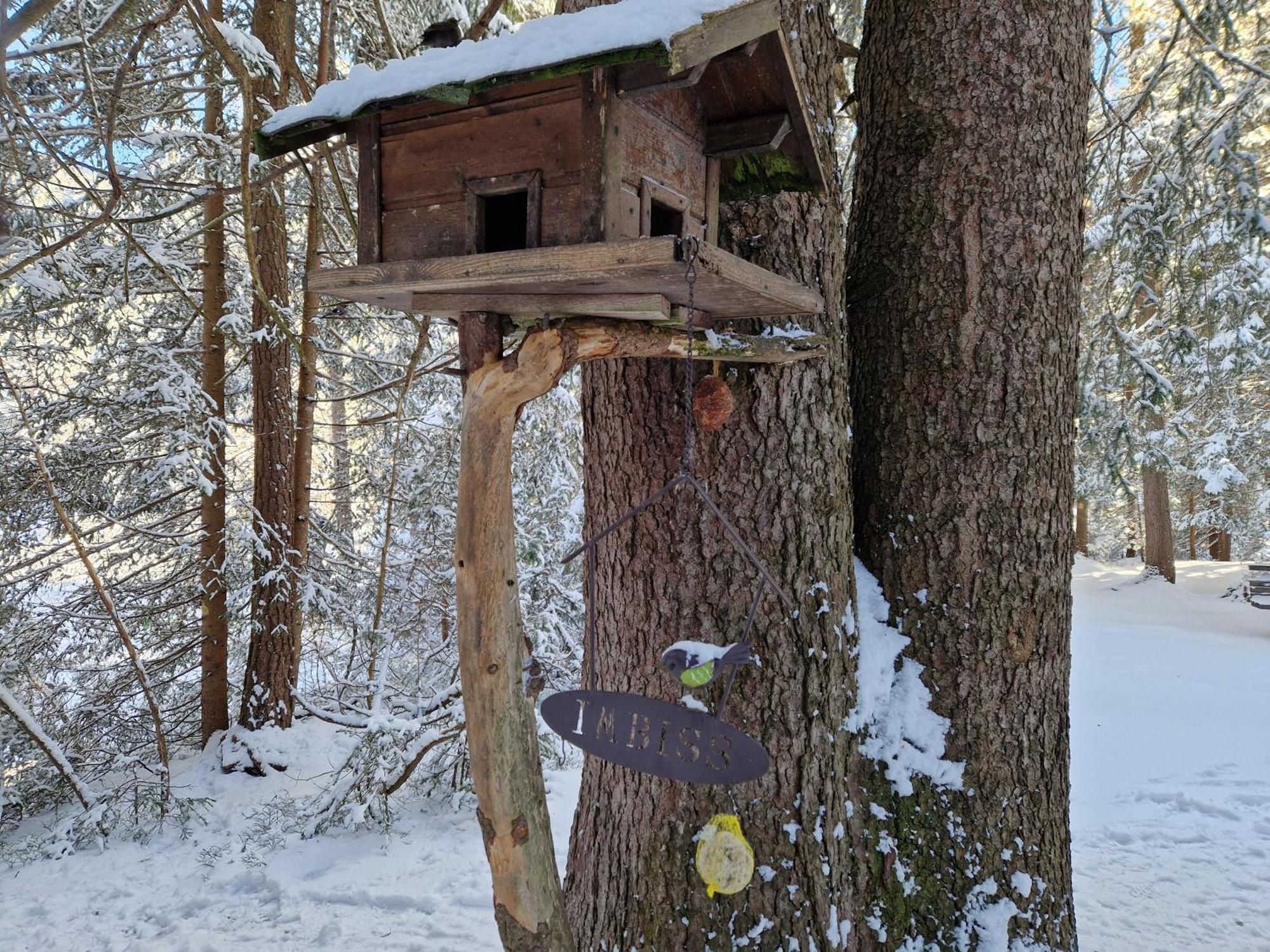 Wohlfuehl-Appartement Bergsee Family - Am Wildsee - Sup Und Schlitten For Free Seefeld in Tirol Extérieur photo